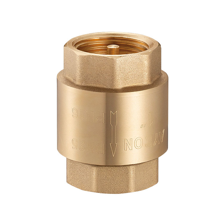 3500 Brass spring check valve